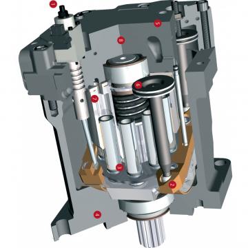 Case KLA0134 Hydraulic Final Drive Motor