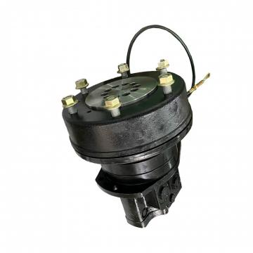 Case PX15V00025F1 Hydraulic Final Drive Motor